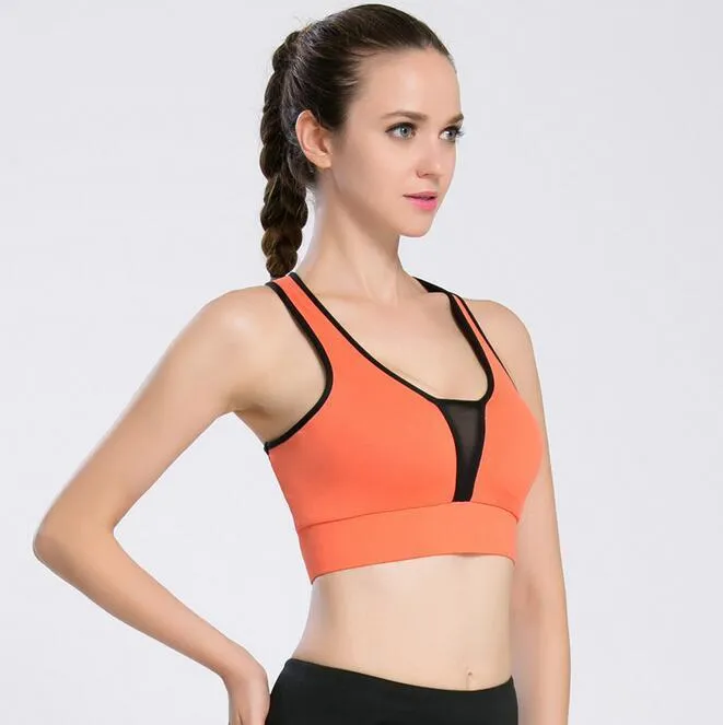 Beautiful Candy Colors Sports Bra for Women