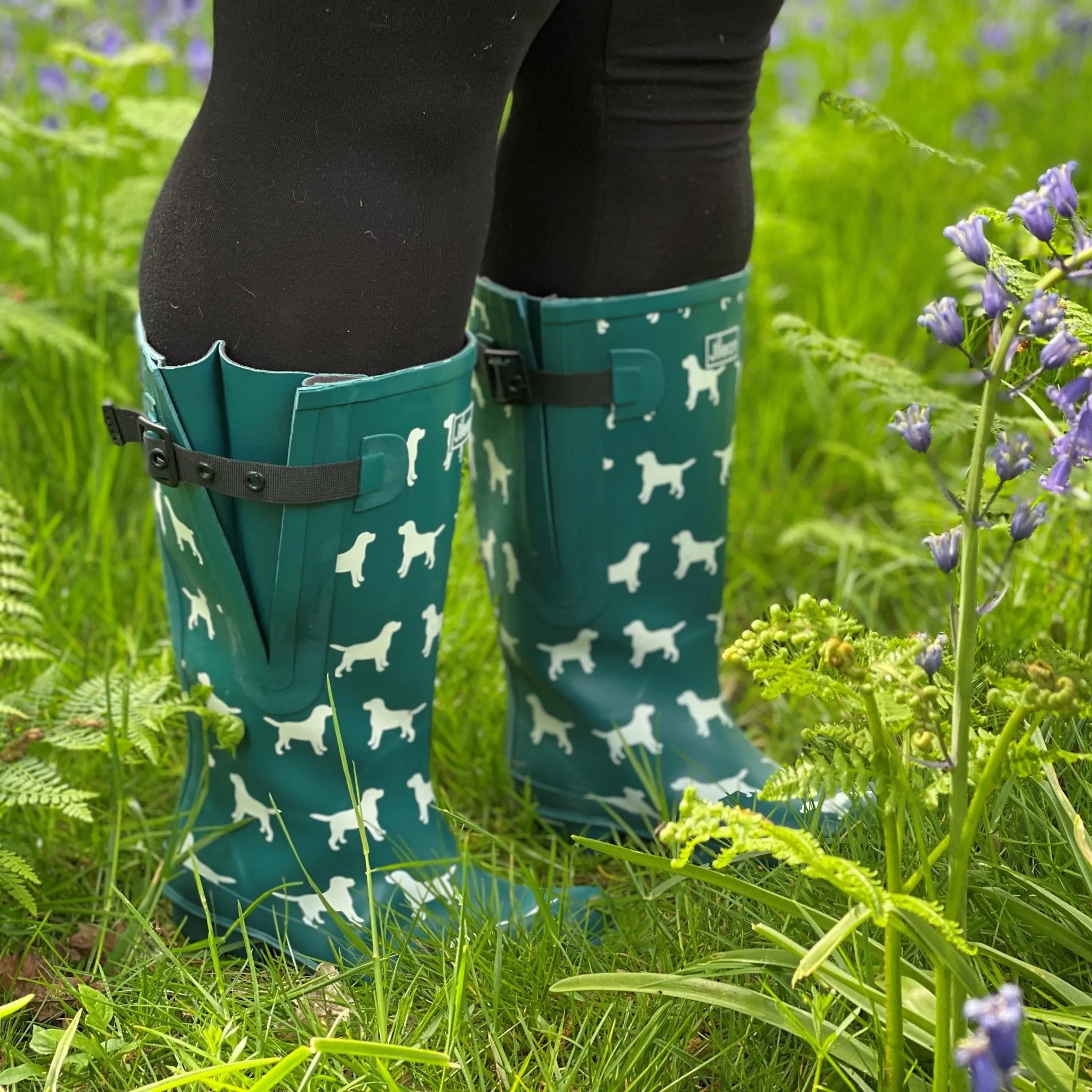 Extra Wide Calf Teal Dog Wellies - Fit 40-57cm calf - Wide in Foot and Ankle